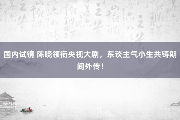 国内试镜 陈晓领衔央视大剧，东谈主气小生共铸期间外传！