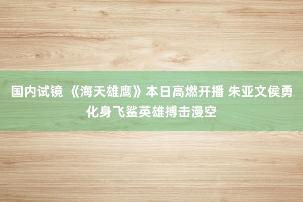 国内试镜 《海天雄鹰》本日高燃开播 朱亚文侯勇化身飞鲨英雄搏击漫空