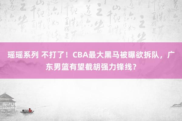 瑶瑶系列 不打了！CBA最大黑马被曝欲拆队，广东男篮有望截胡强力锋线？