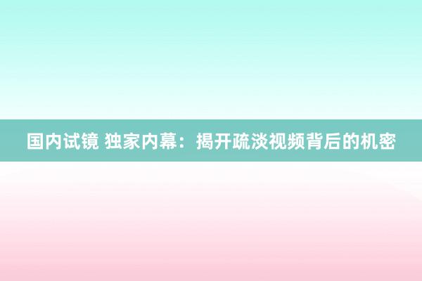 国内试镜 独家内幕：揭开疏淡视频背后的机密